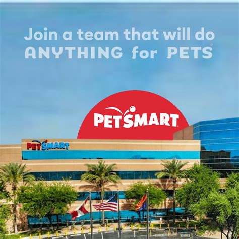 Katherine Sanford on LinkedIn: Working in Our Phoenix Home Office ...