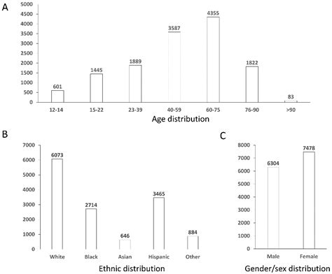 Machine Learning as a Support for the Diagnosis of Type 2 Diabetes