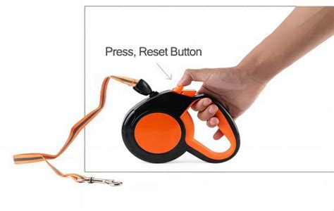 Image result for Constant Force Spring for Watch