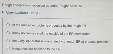Solved: Rough endoplasmic reticulum appears "rough" because _ View ...