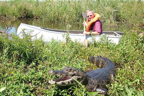 2024 (Posadas) 3-Day Ibera Marshlands Tour