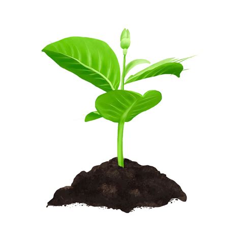 绿色卡通手绘小草种植树苗泥土土壤植树节元素PNG素材PSD免费下载 - 图星人