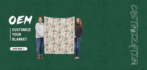 Company Overview - Jiangsu Guotai Huasheng Industry Co., Ltd.