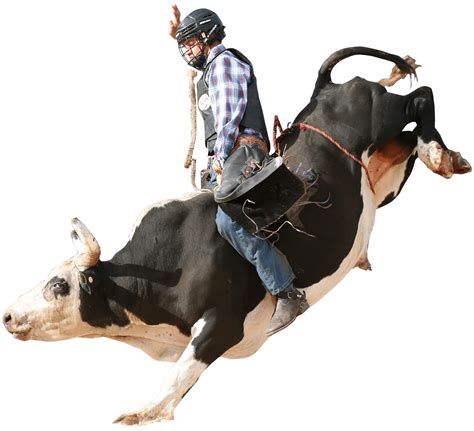 Bull Ride In Spanish at Kaitlyn Corkill blog