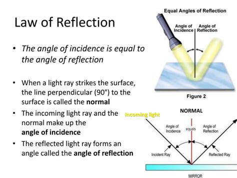 Image result for Reflection Definition