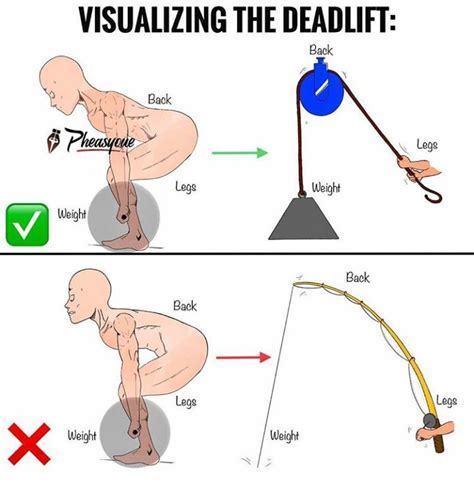 gym workout knowledge