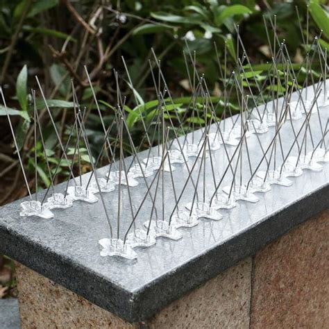 Handling Pigeons’ Menace: Friendly Solutions for Residential Buildings ...