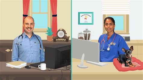 Ezyvet Tutorial Bundle 的图像结果