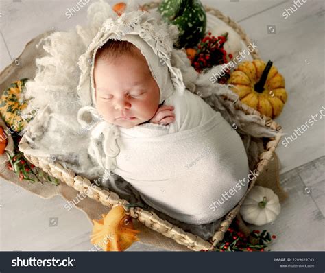 254 New Born Halloween Images, Stock Photos & Vectors | Shutterstock
