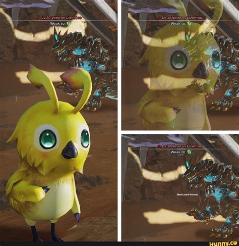 Image result for PSO2 NGS Funny