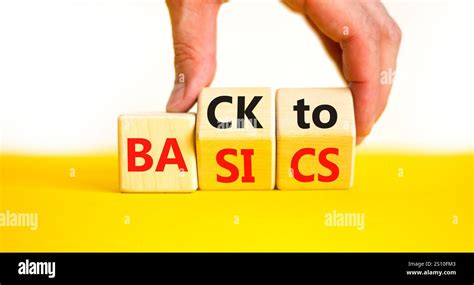 Image result for Basic Back