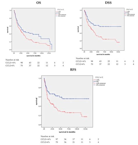 Cancers | Special Issue : Bladder Cancers