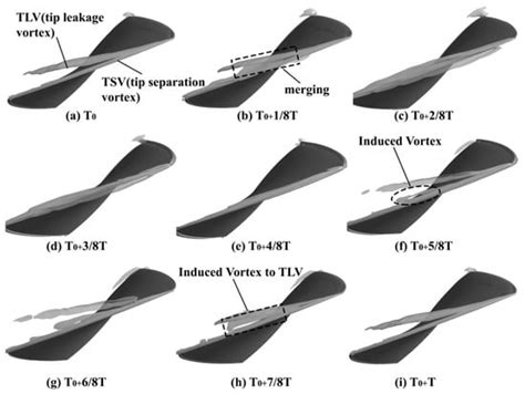 Dynamic Analysis of Cavitation Tip Vortex of Pump-Jet Propeller Based ...