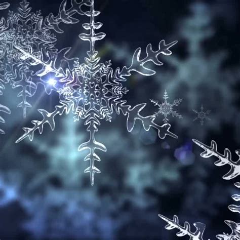 Image result for Snow Falling Animated Graphics