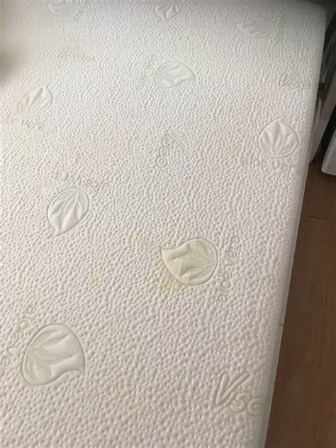 ALBATROS (Benidorm) - Lodging Reviews, Photos, Rate Comparison ...