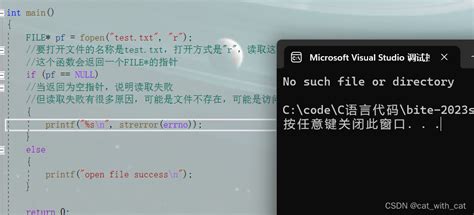 Strerror Example 的图像结果