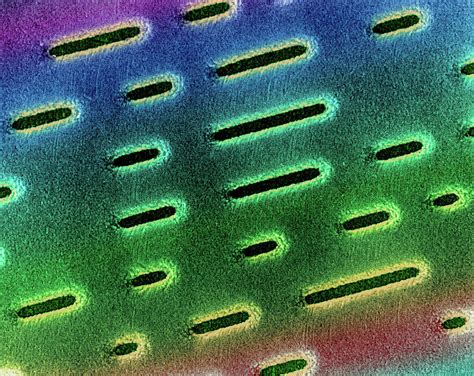 Image result for Inside Compact Disc Microscope