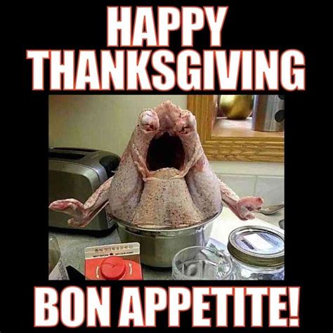 Funny Thanksgiving Memes Laughs To Celebrate Turkey Day