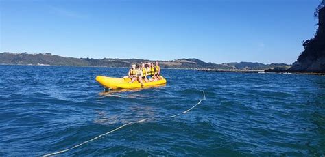Banana Boat Whitianga - 2021 What to Know Before You Go (with Photos ...