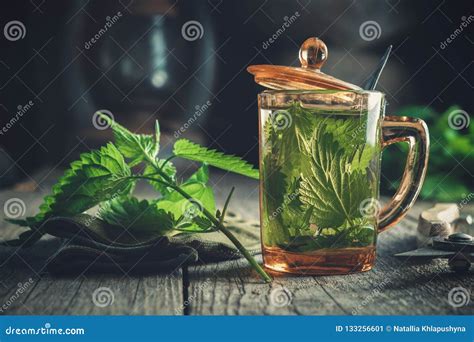 Healthy Nettle Tea, Nettle Plants, Gloves and Garden Pruner on Old ...