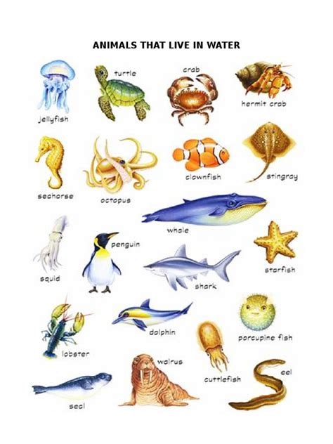 Image result for Water Reflection Photoshop Tutorial