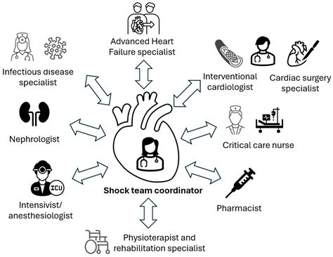 Review of Advancements in Managing Cardiogenic Shock: From Emergency Care Protocols to Long-Term ...