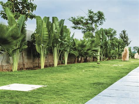 Frangipani Estates by SPA Group | Luxury Plots in Off Sarjapur Road