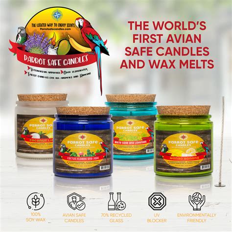 Are There Bird Safe Candles
