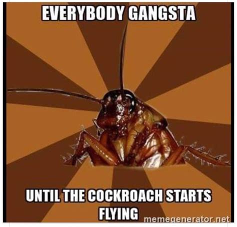 Cockroach Meme Invasion 的图像结果