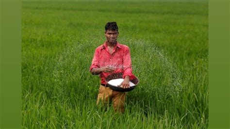 Maharashtra Govt Delays Rs 1015 Crore Crop Insurance Premium: Rediff ...