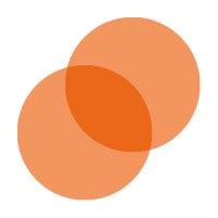 Image result for Optimum Support