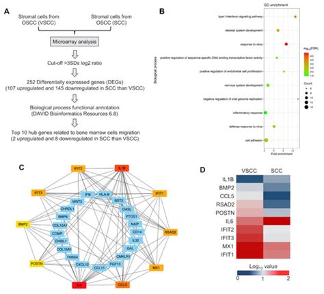 Cancer-Associated Stromal Cells Promote the Contribution of MMP2 ...