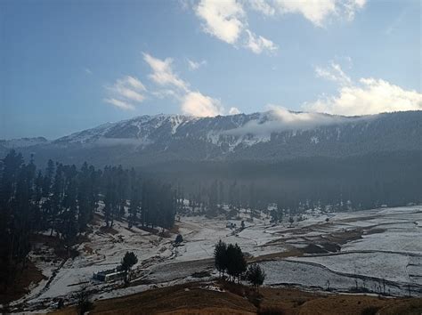 CONIFER VIEW GUEST HOUSE (Tangmarg) - B&B Reviews, Photos, Rate ...