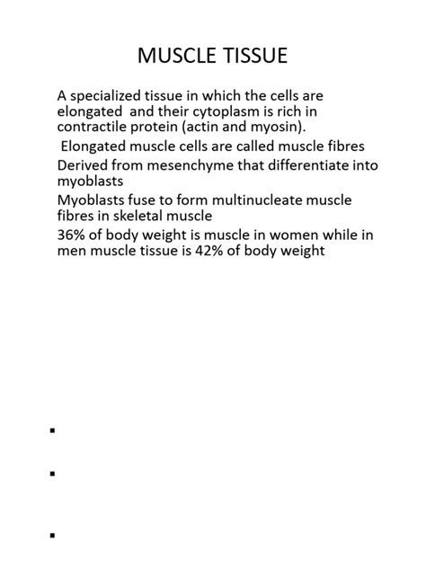 Histology - Muscle Tissue | PDF | Muscle | Muscle Contraction