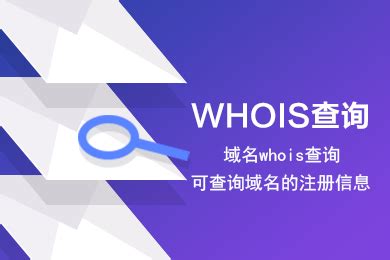 whois查询工具源码 - 平平资源网