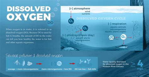 Dissolved Oxygen
