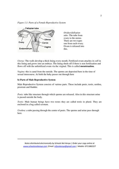 SOLUTION: Primary science notes for class 7 and 8 - Studypool