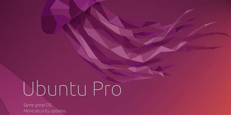 Ubuntu Pro vs Ubuntu 的图像结果