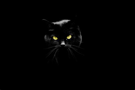 Image result for Howt O Write a Set in a Set Python