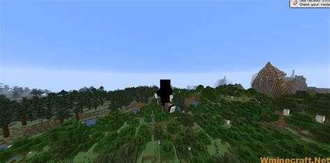 Image result for Placebo Mod Minecraft