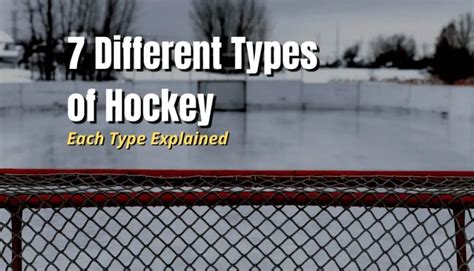 Types of Hockey 的图像结果