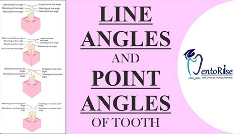 Line Angle Teeth 的图像结果
