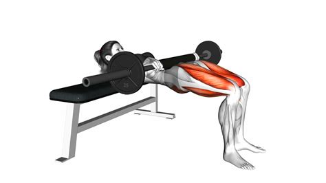 Barbell Hip Thrust For Women - Video Guide & Tips