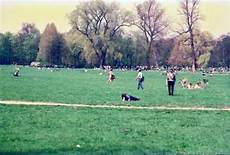 Englischer Garten Fkk gardens where sunbathing is the norm in Englischer Garten Fkk gardens where sunbathing is the norm in