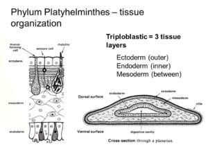 Image result for Problem Definition Process