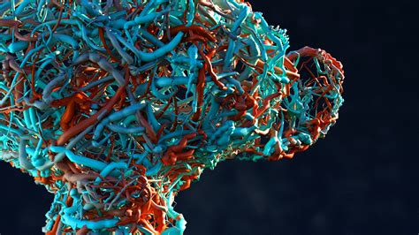 Image result for Particle Nodes Blender