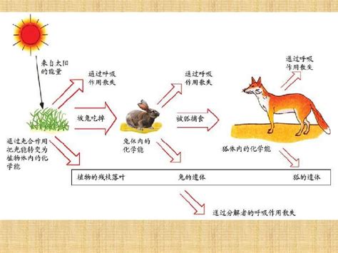 物理生物能量学：非平衡物理学、能量代谢与细胞生物学的新交叉 - 知乎