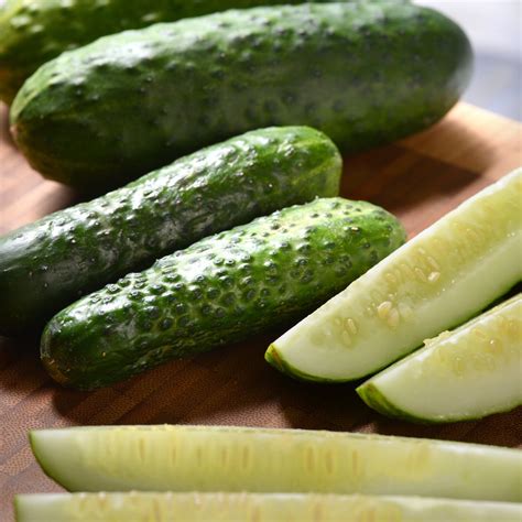 Pickle Cucumber – Jardineries Botanix