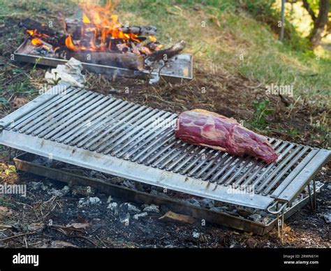 grilling chorizo sausages , chicken quarters, skirt steaks, flank ...