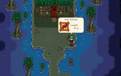 Salmon Stardew Valley Guide - SDew HQ